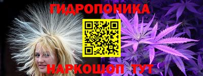 каннабис Славгород
