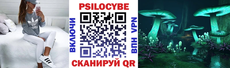 магазин  наркотиков  Черногорск  Псилоцибиновые грибы Psilocybine cubensis 