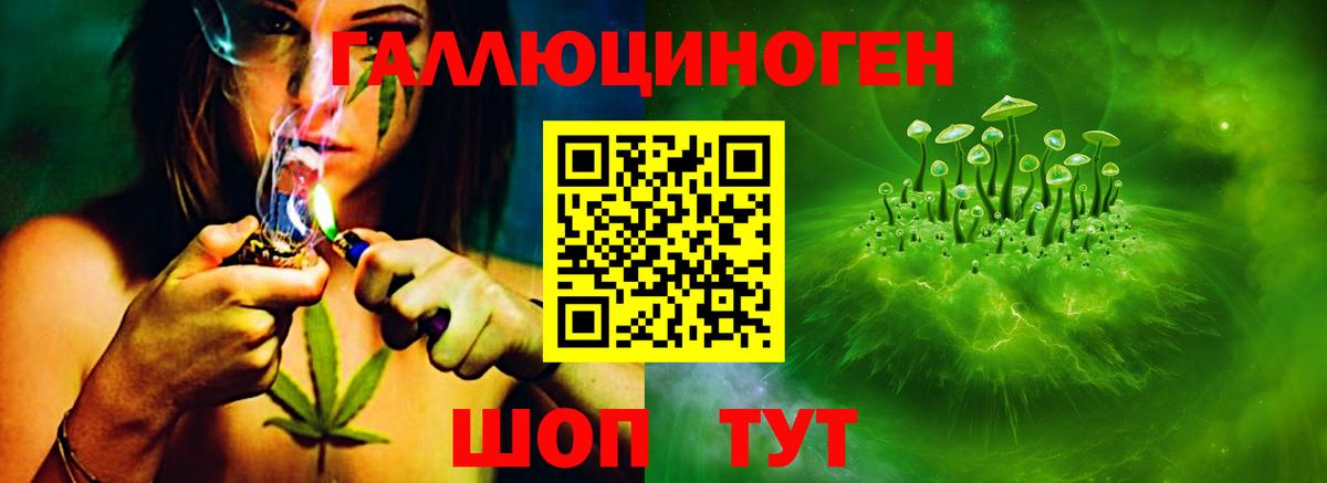 Галлюциногенные грибы MAGIC MUSHROOMS  Галлюциногенные грибы Magic Shrooms  Черногорск  Вход с VPN 